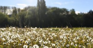 Vista panoramica del loteo La Martita en Esquel con paisaje natural y montanas