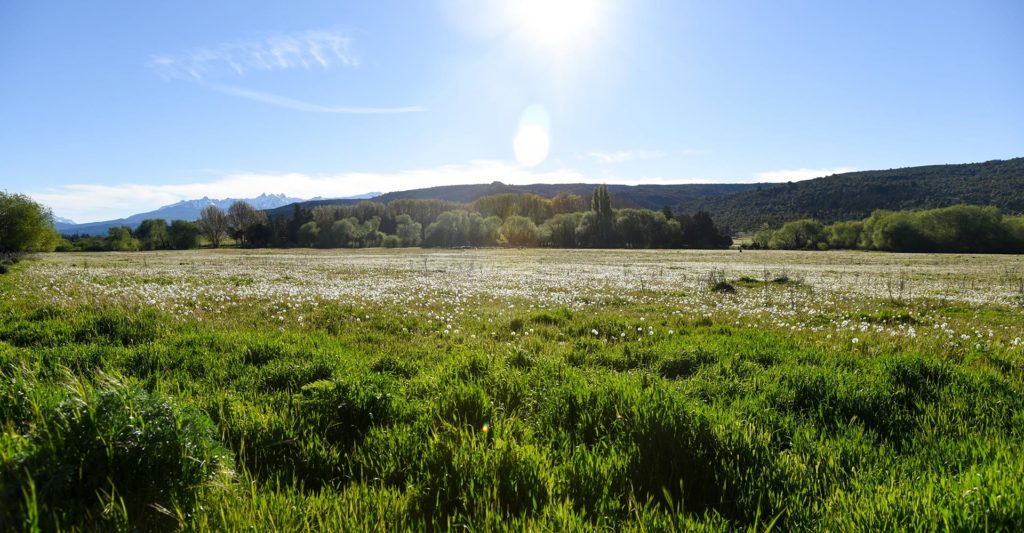 Loteo La Martita con pradera verde y cielo despejado