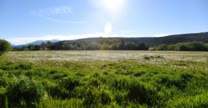 Loteo La Martita con pradera verde y cielo despejado