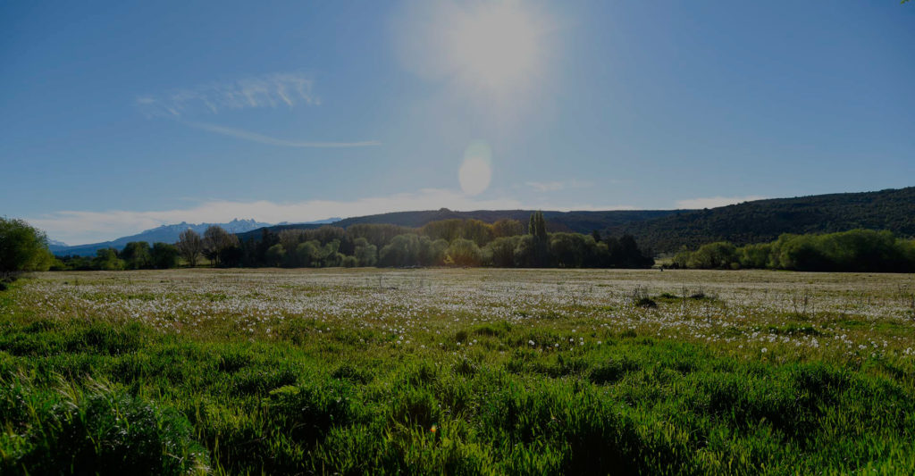 Paisaje del loteo La Martita con campo abierto